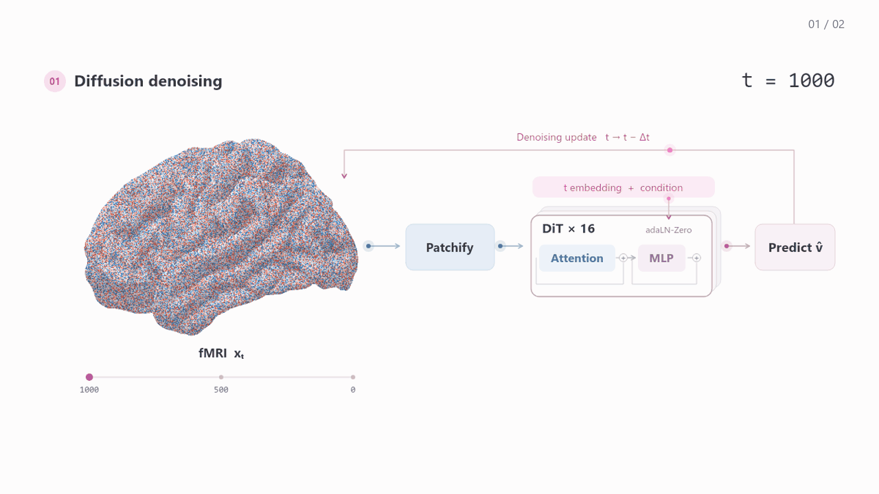Two-page animated overview of Brain-DiT pretraining and downstream adaptation