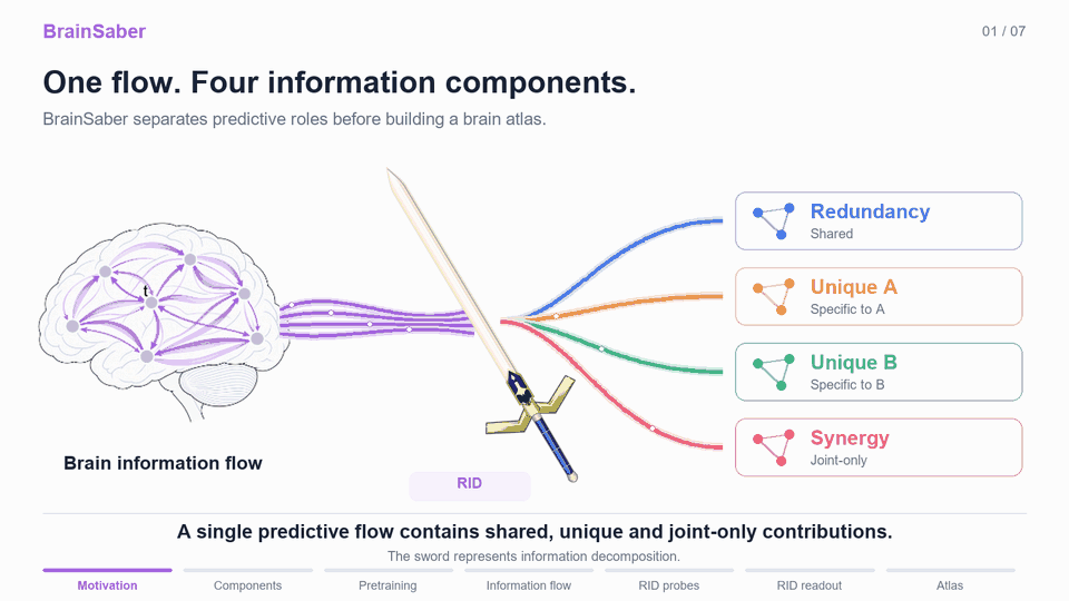 Animated overview of the BrainSaber framework