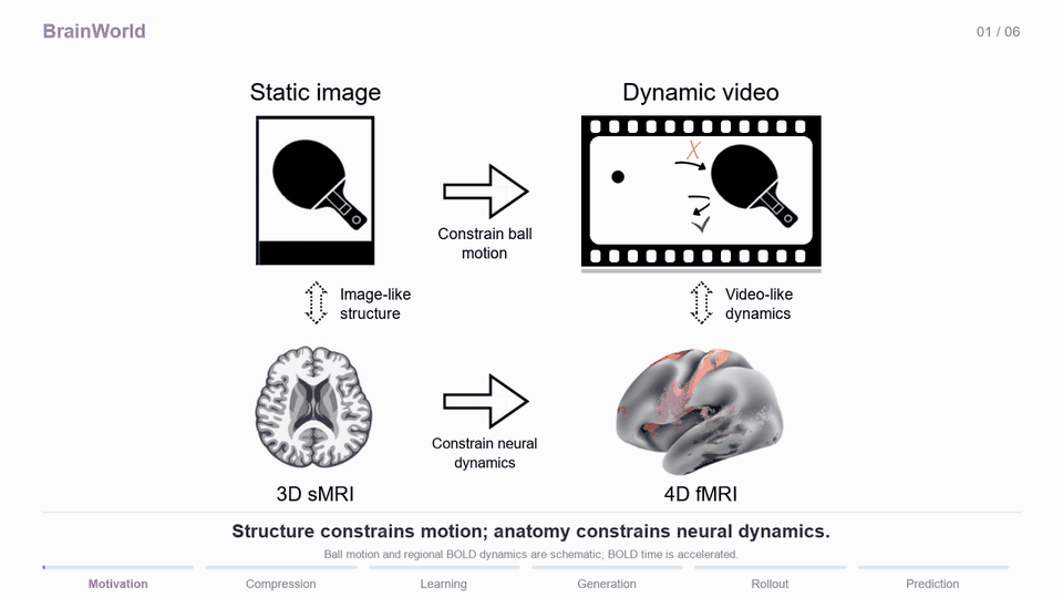 Six-page animated overview of the BrainWorld framework