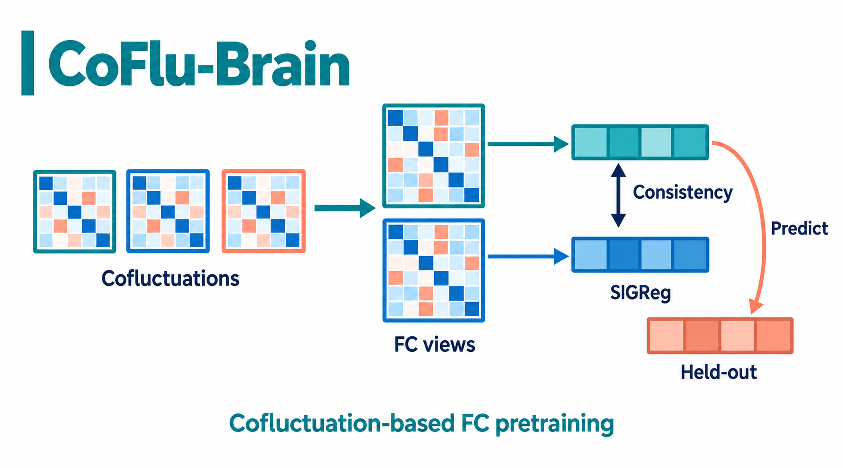CoFlu-Brain cofluctuation-based functional connectivity pretraining framework