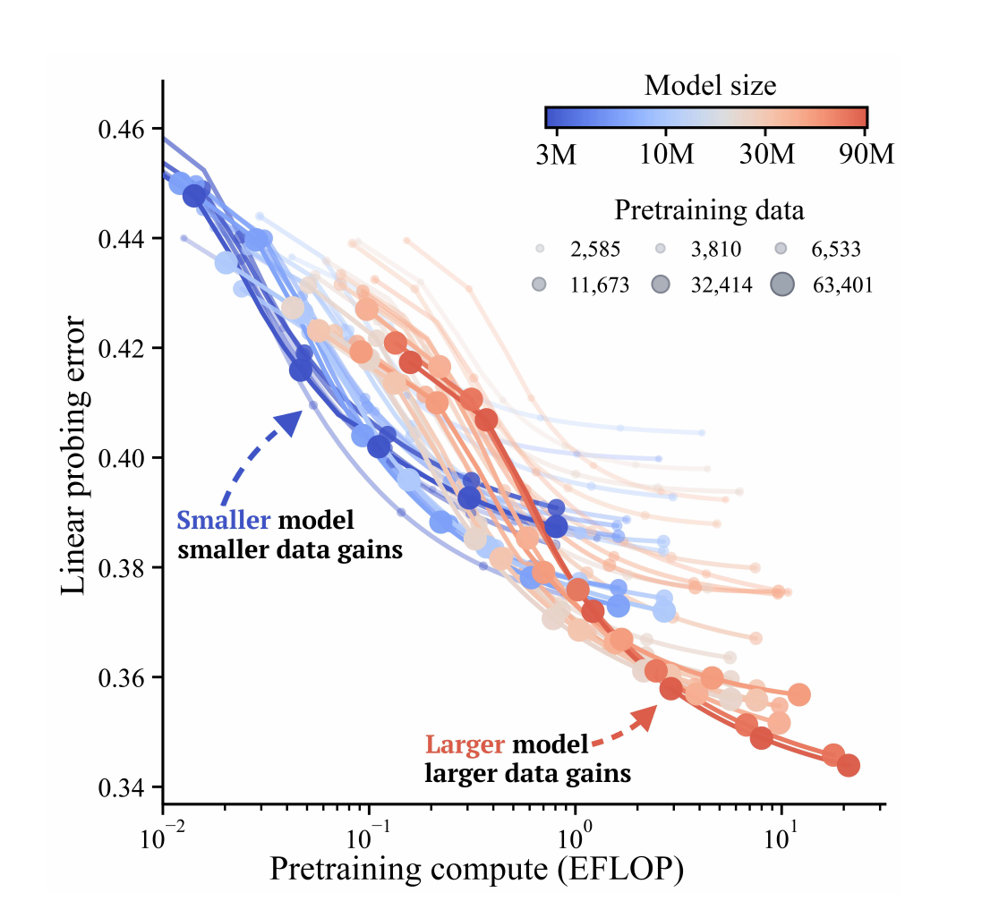 Scaling study for fMRI foundation models overview