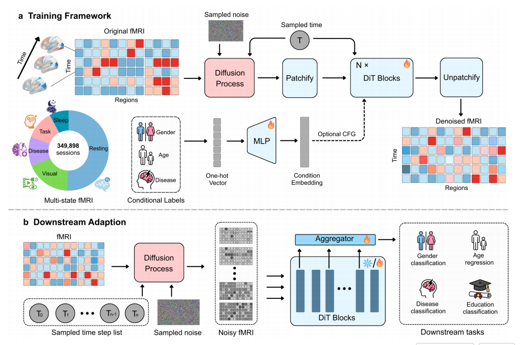 Brain-DiT framework overview