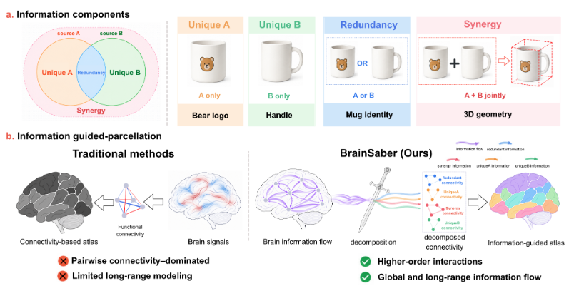 BrainSaber information decomposition framework for functional brain atlas construction