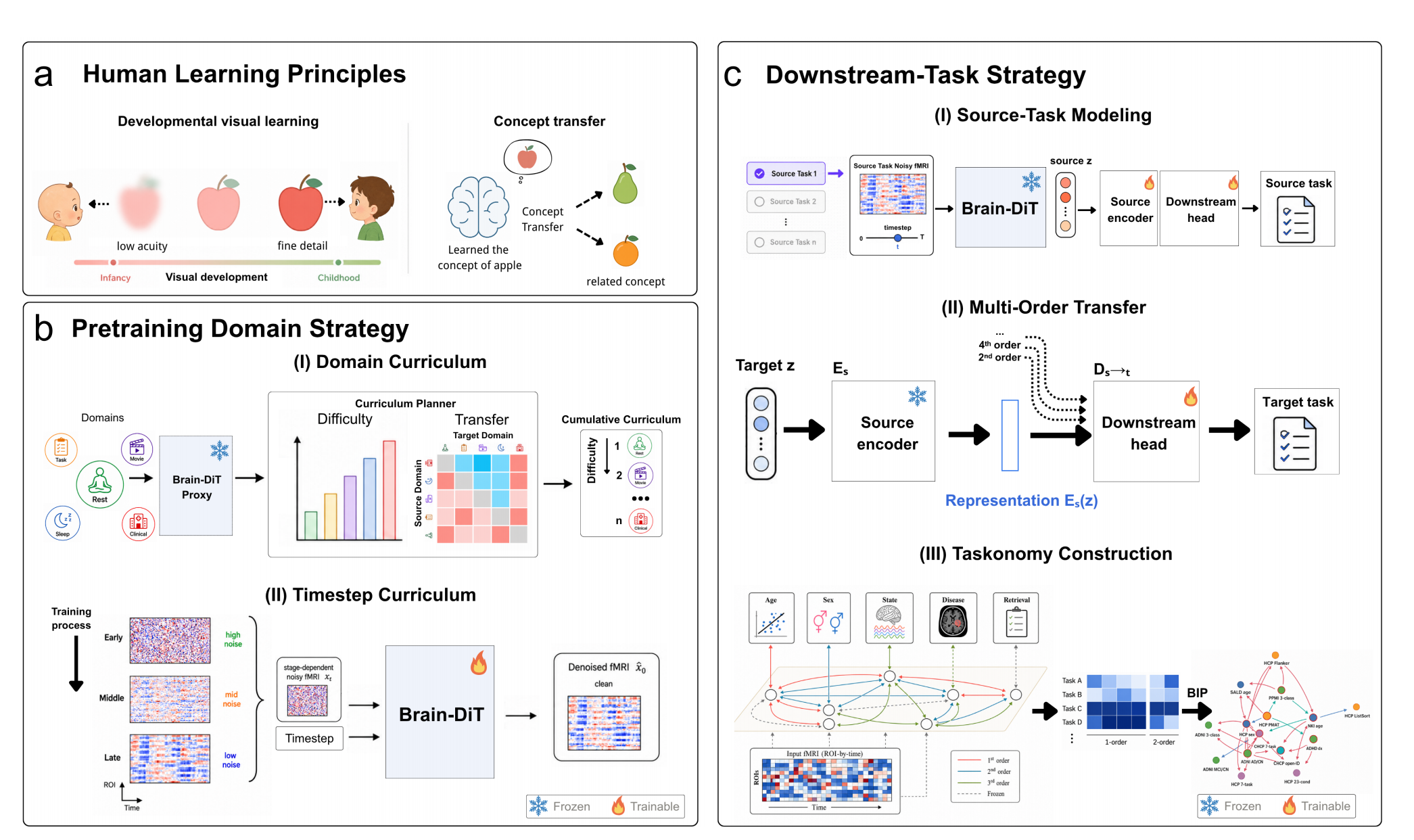 BrainTaskonomy framework overview