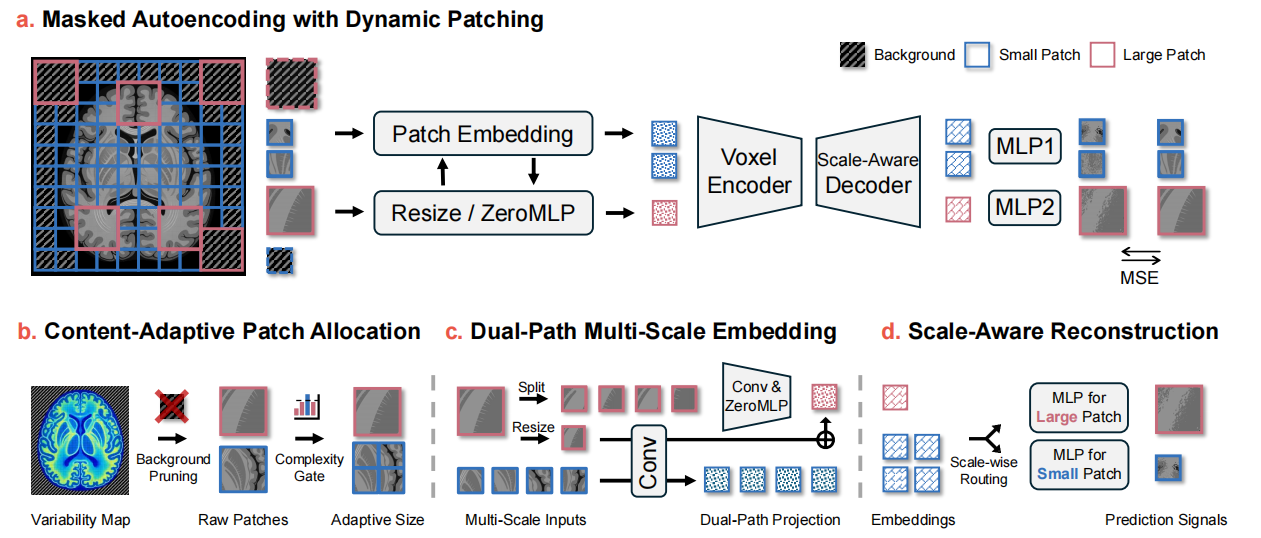 Omni-fMRI dynamic patching overview