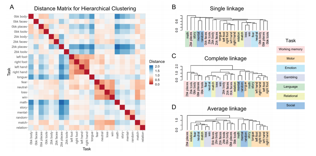 Cognitive taskonomy clustering overview