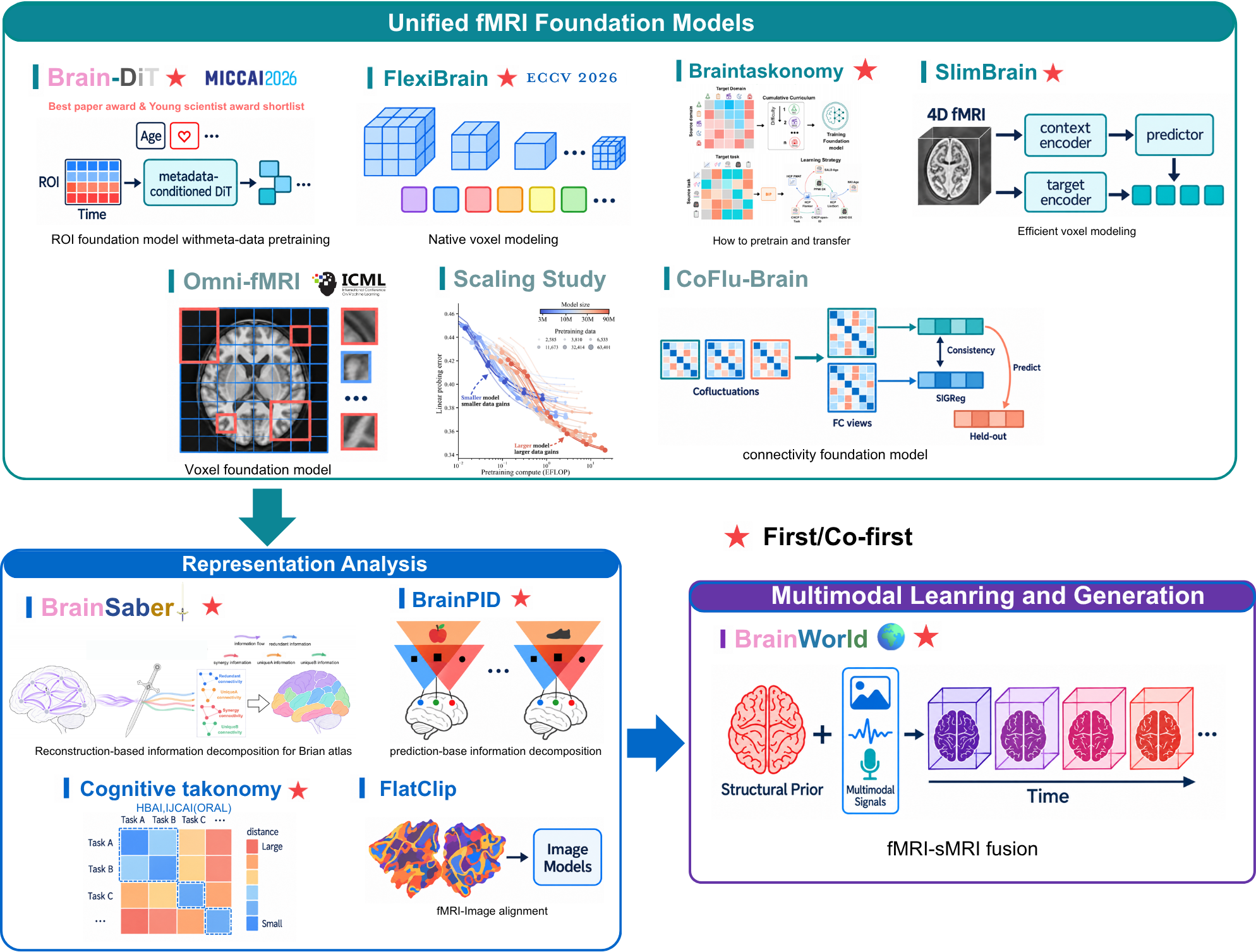 Research line overview for unified fMRI foundation models, representation analysis, and multimodal learning